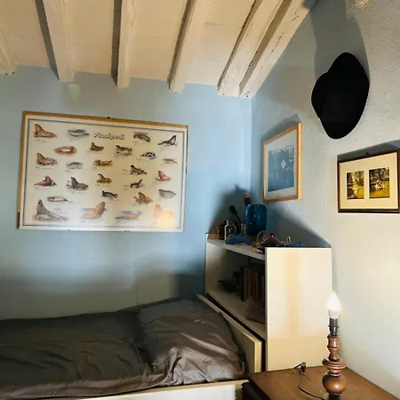 빌라 La Casa Di Fattoria A Caiano *